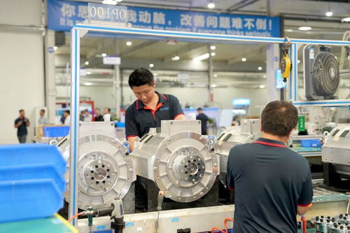 兩新政策紅利惠及生產(chǎn)企業(yè)，保稅造借機遇再上新臺階